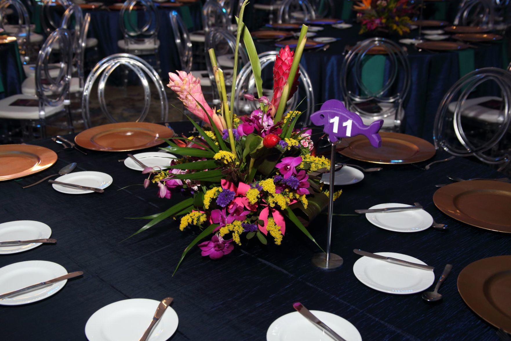 111718GlennonGlow_06.JPG